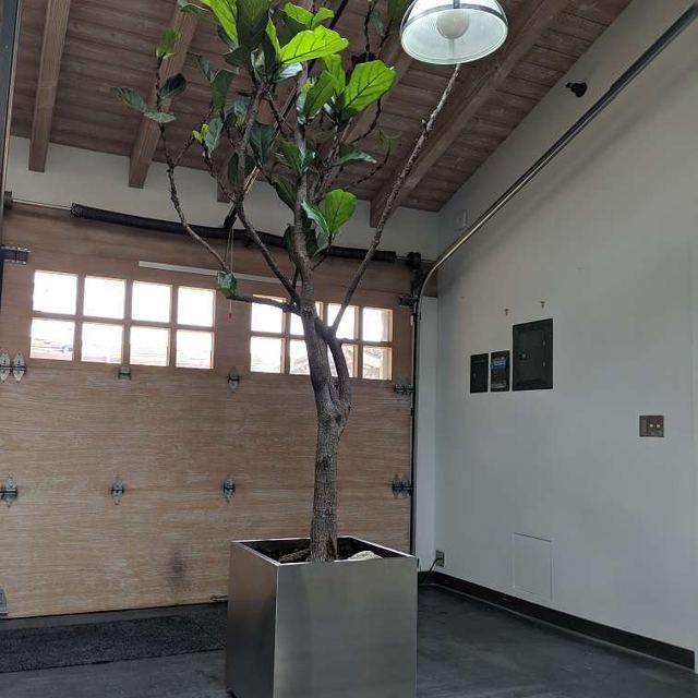 Stainless steel planter in a studio space, Custom Metal Home