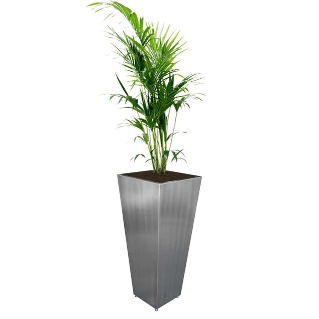 Stainless steel planter with a palm, Custom Metal Home